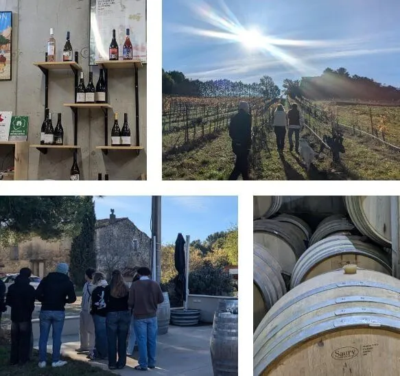 Refonte packaging du domaine de Novi, Formation en Communication, Itecom Art Design Aix