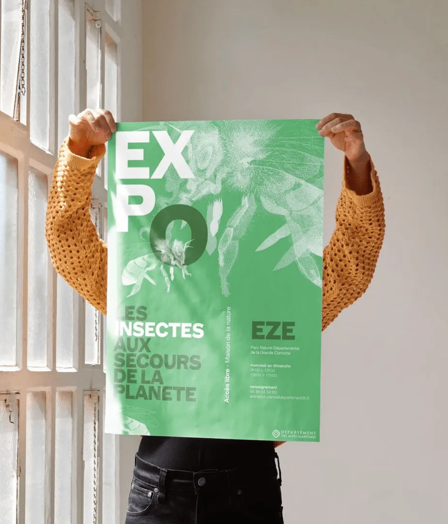 itecom ecole de design nice, illustration affiche année prépa