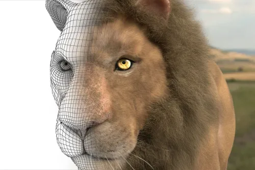 3D.jpg