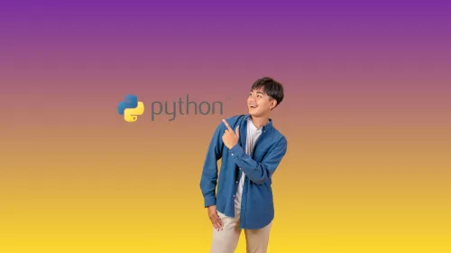 formation en ligne python 