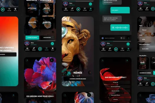 Communication visuelle itecom art design