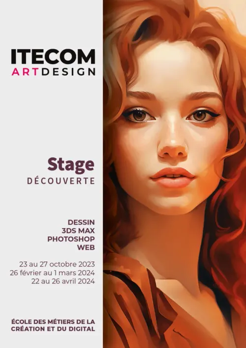 Stage de decouverte itecom art design 